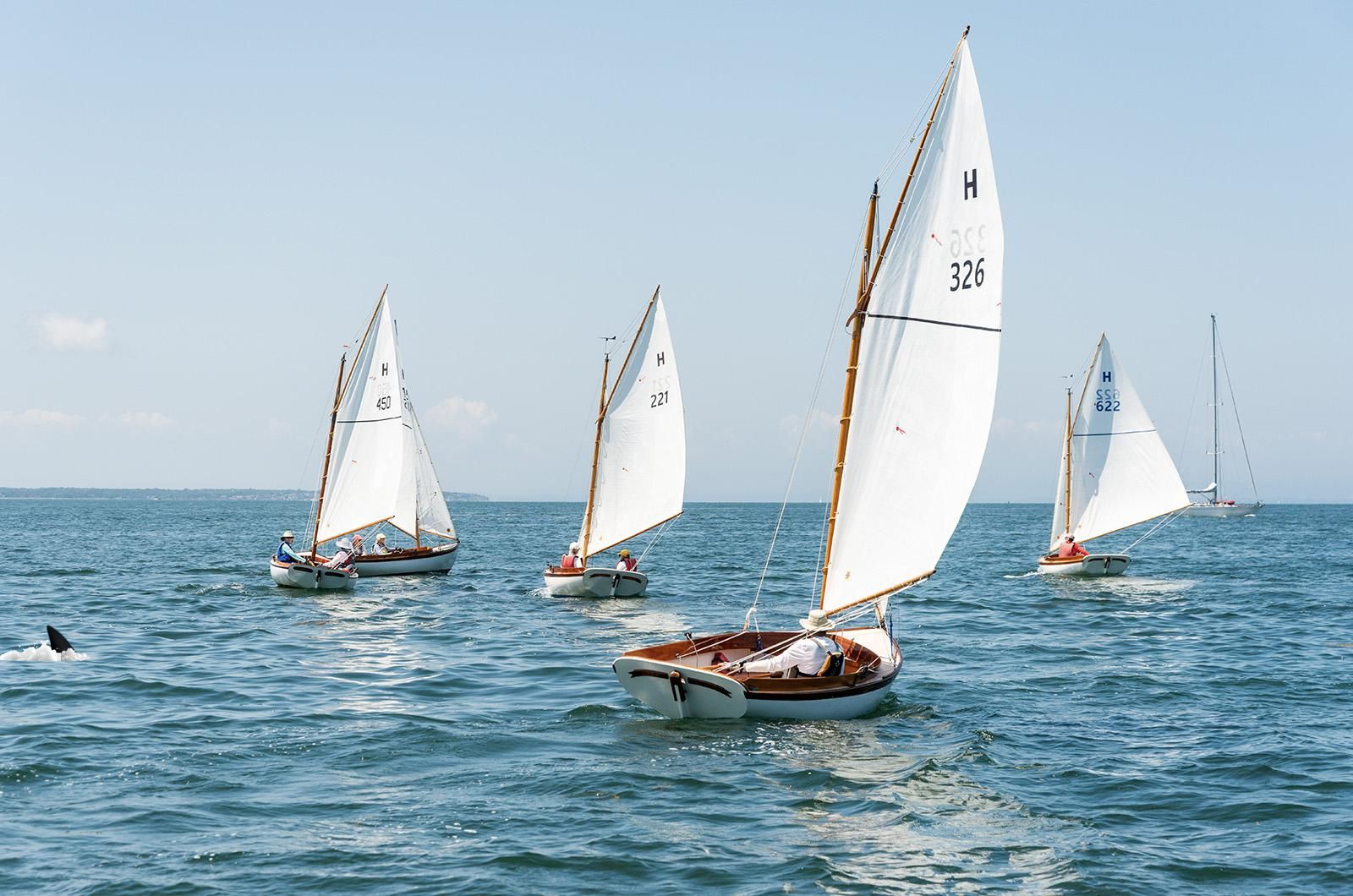 Amity Island Regatta
