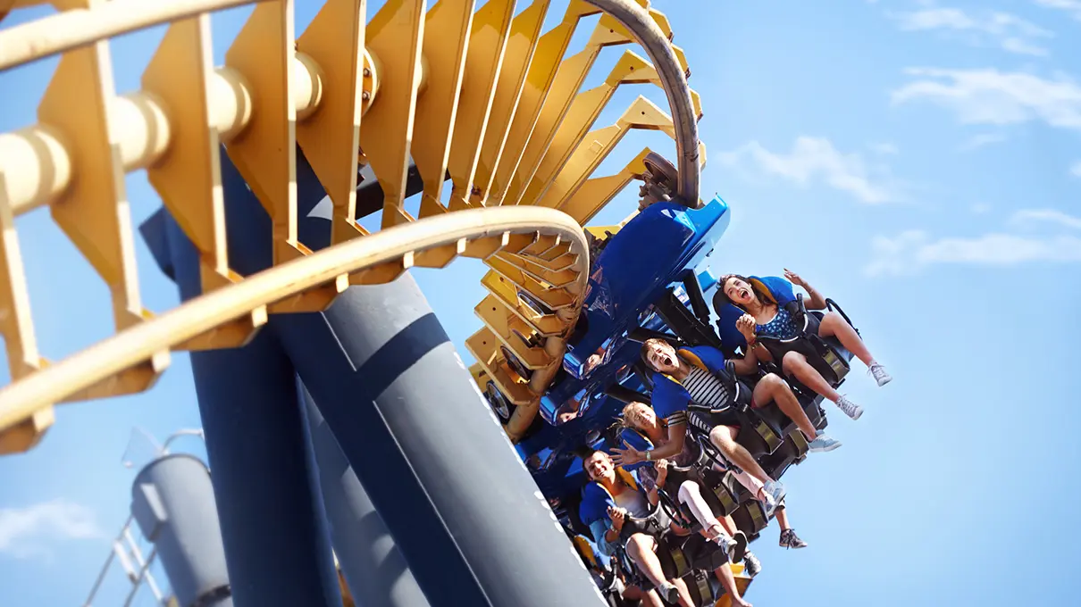 The Viper Steel Coaster