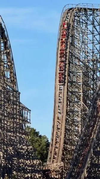 Timber Wolf